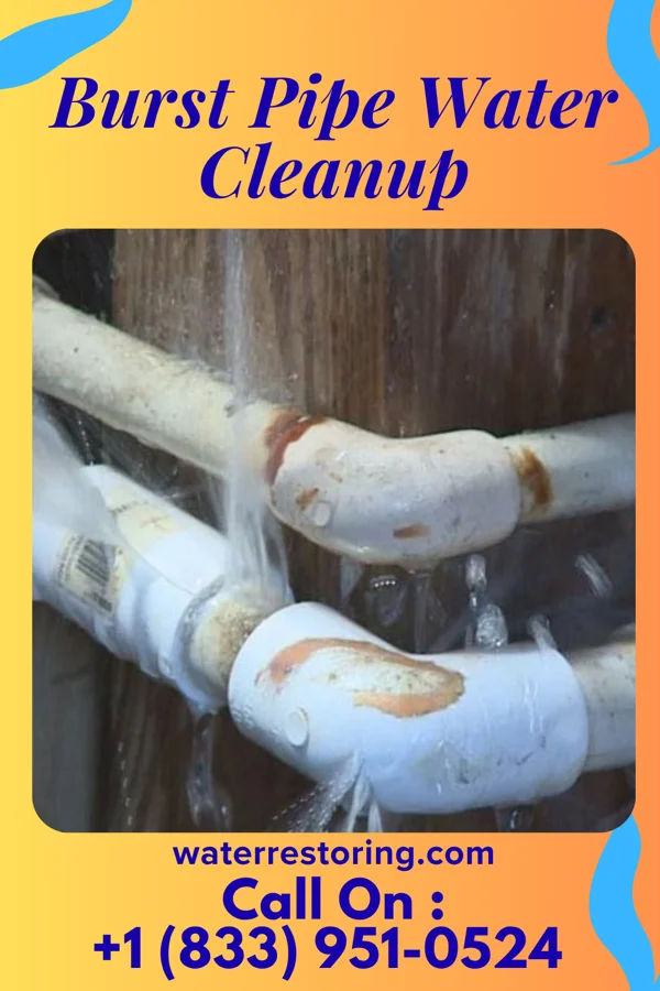 Burst Pipe Water Cleanup in Grandview Heights, OH