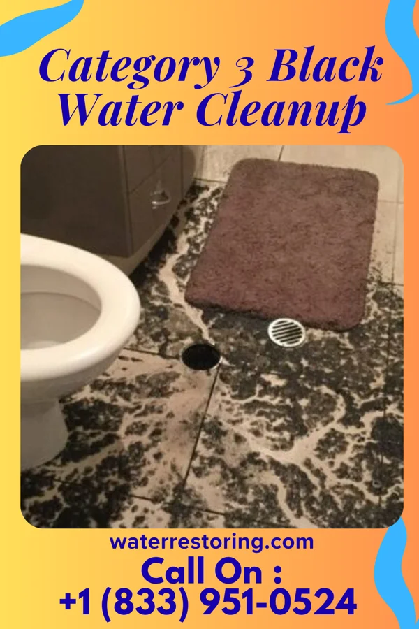 Category 3 Black Water Cleanup in Grandview Heights, OH