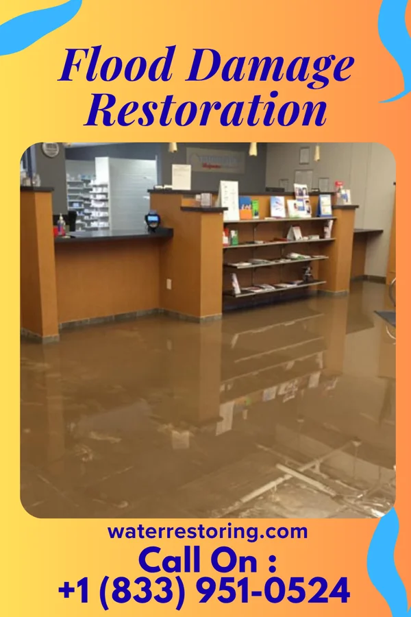 Flood Damage Restoration in Grandview Heights, OH