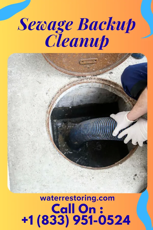 Sewage Backup Cleanup in Grandview Heights, OH