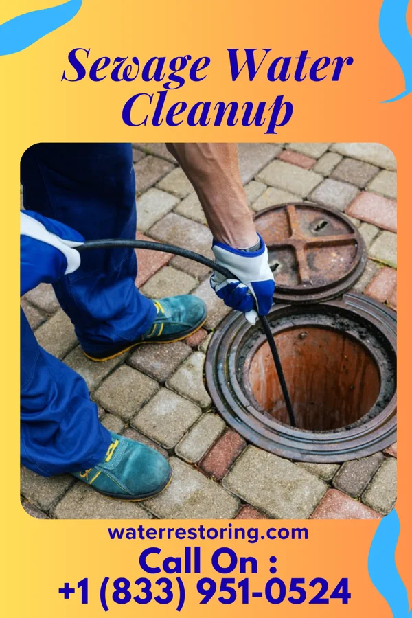 Sewage Water Cleanup in Grandview Heights, OH