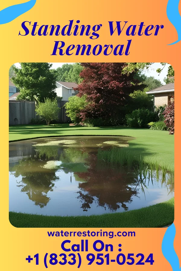 Standing Water Removal in Grandview Heights, OH